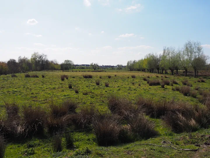 Kalkense Meersen (België)